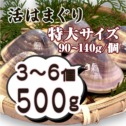 活はまぐり 特大サイズ 90～140g 国産 [はまぐり] | 貝類