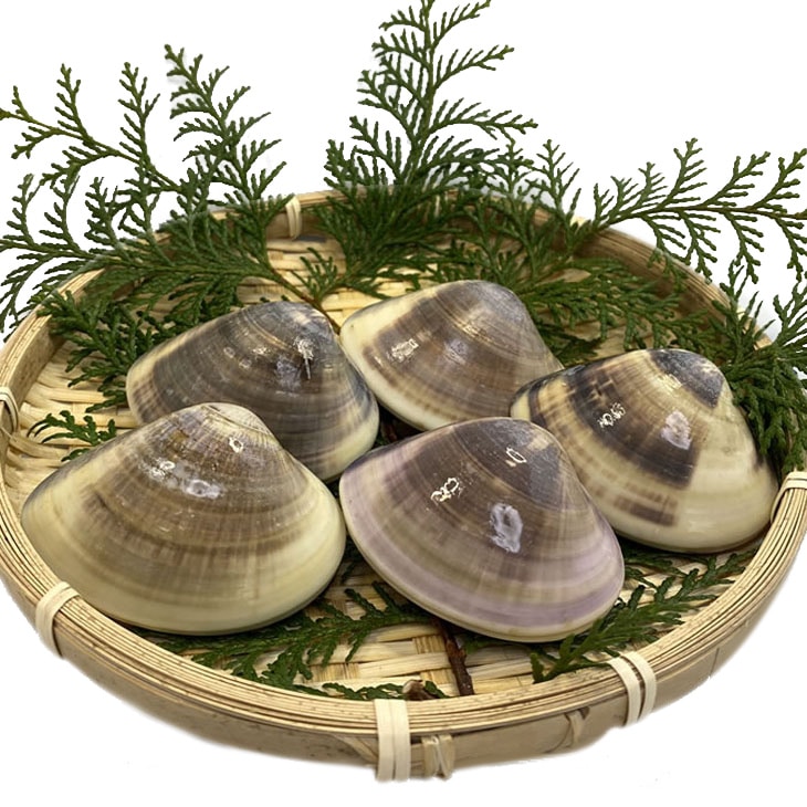 活はまぐり 特大サイズ 90～140g 国産 [はまぐり]（入数:7～11個 1kg分）