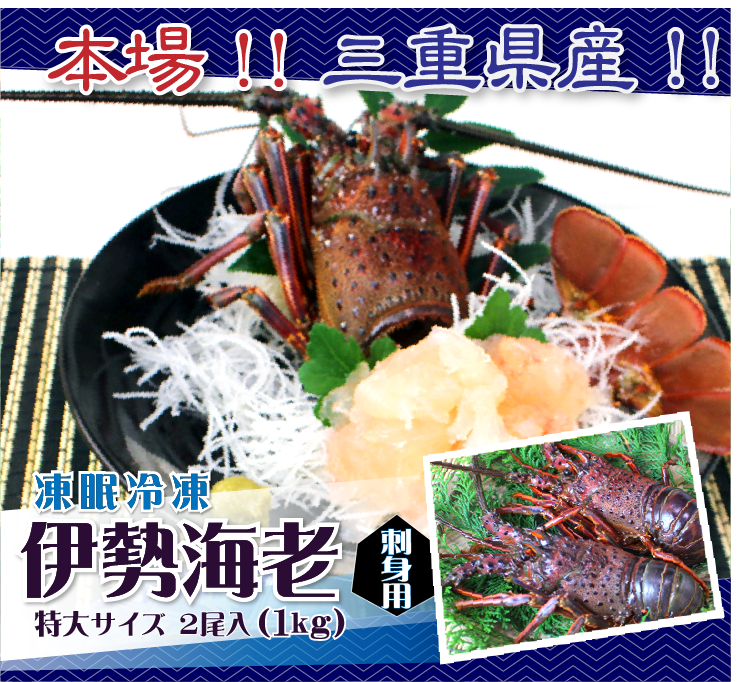 刺身用伊勢海老 凍眠冷凍 特大サイズ 2尾入 1.0ｋg ★[刺身用伊勢海老]