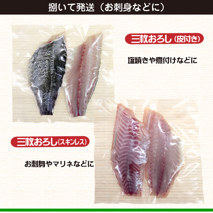 活〆いさき 1尾 400g 下調理できます[イサキ]