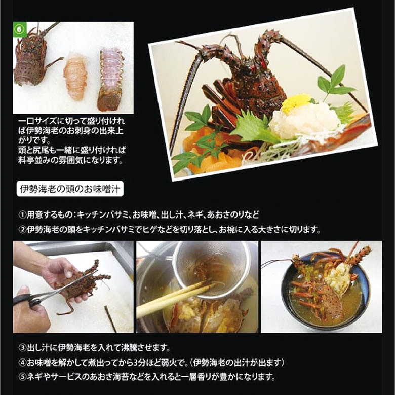 刺身用伊勢海老　活〆冷凍　800g~1kg　１尾　特大サイズ　[凍眠冷凍伊勢海老]