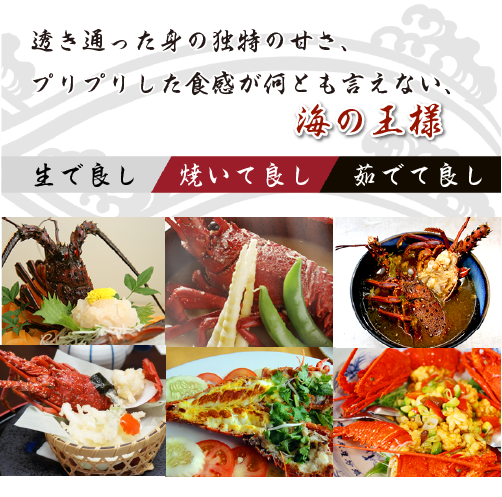 捌いて発送 国産天然 伊勢海老 小サイズ 4尾入 500g ★[伊勢海老]