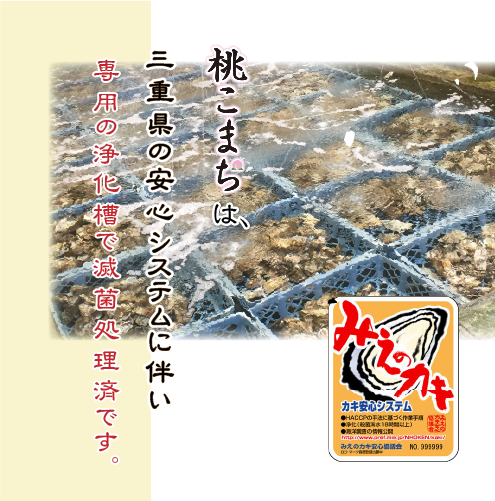 □冷凍 おかわりに！[殻付き牡蠣] 桃こまち Mサイズ20個