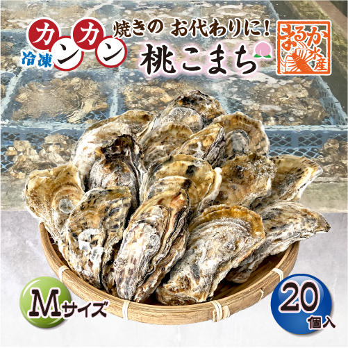 □冷凍 おかわりに！[殻付き牡蠣] 桃こまち Mサイズ20個 | 簡単調理