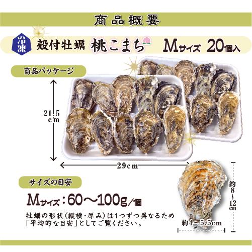 □冷凍 おかわりに！[殻付き牡蠣] 桃こまち Mサイズ20個
