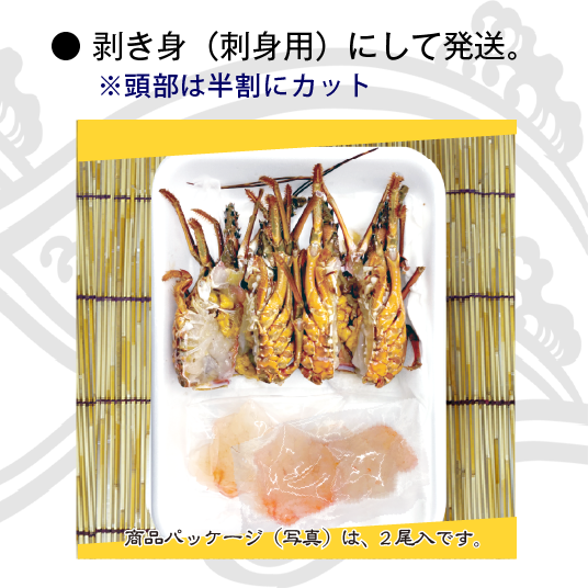 捌いて発送　国産天然　伊勢エビ　1尾　160ｇ～200ｇ[伊勢海老]