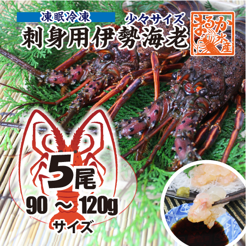 刺身用伊勢海老 凍眠冷凍 少々サイズ 90～120gサイズ[刺身用伊勢海老]