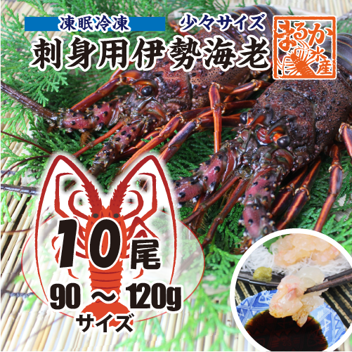 刺身用伊勢海老 凍眠冷凍 少々サイズ 90～120gサイズ[刺身用伊勢海老]
