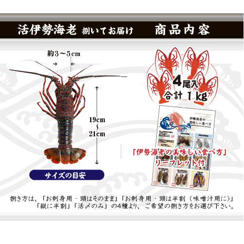 捌いて発送 国産天然 伊勢海老 標準サイズ 4尾入 1.0kg ★[伊勢海老]