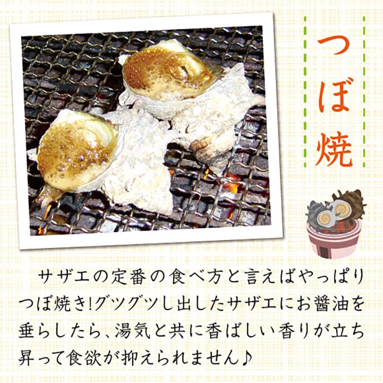 天然活 さざえ 大サイズ 1kg 7個 140～180g [さざえ]