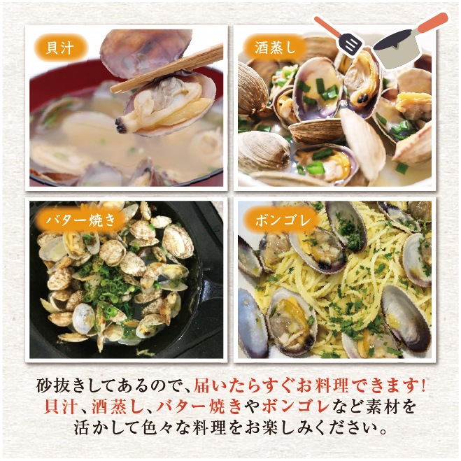 活あさり貝 中国産　500ｇ　約40粒～60粒 [あさり貝]