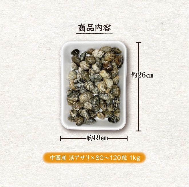 活あさり貝 中国産　500ｇ　約40粒～60粒 [あさり貝]