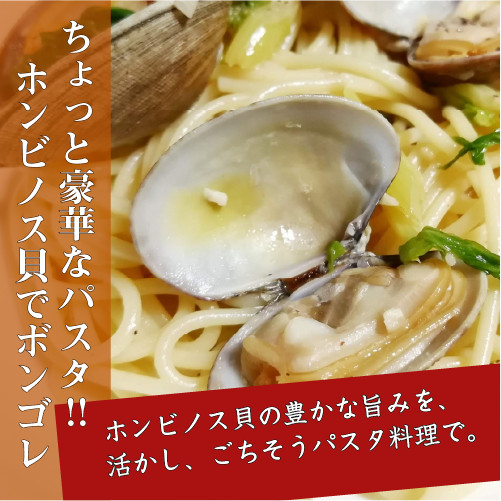 活 ホンビノス貝 中サイズ（8～12個）（入数:1kg入 [貝類]）