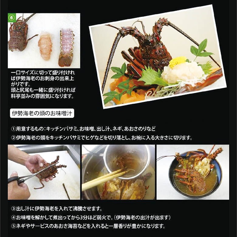 刺身用伊勢海老 凍眠冷凍 大サイズ 400～500g [刺身用伊勢海老]