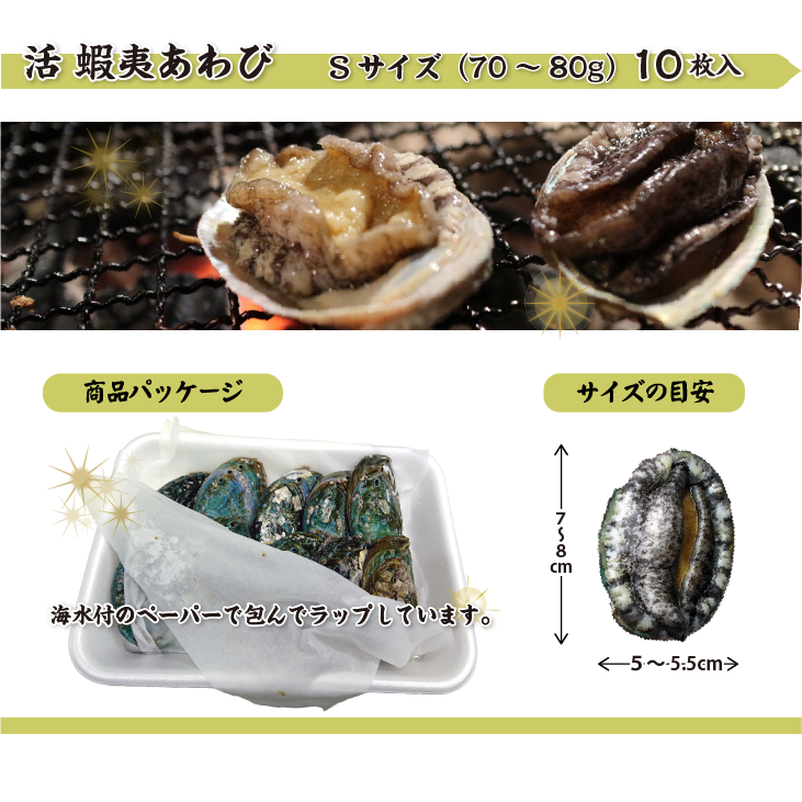 活 蝦夷あわび 70～80g Sサイズ [あわび]（入数:10枚 ★）