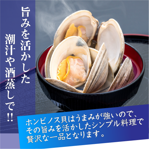 活 ホンビノス貝 特大サイズ（4～6個）（入数:1kg入 [貝類]）