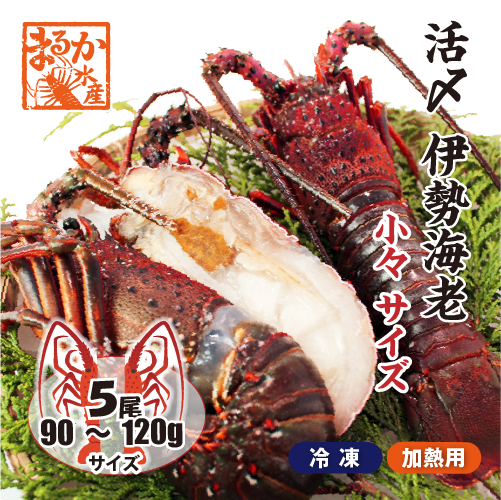 □活〆伊勢海老（冷凍加熱用）少々サイズ 90～120g [冷凍伊勢海老]