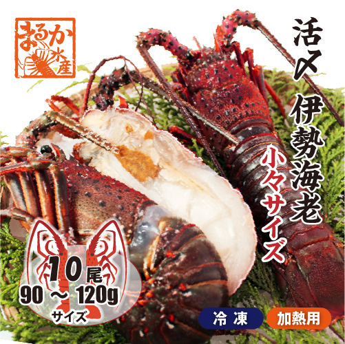 □活〆伊勢海老（冷凍加熱用）少々サイズ 90～120g [冷凍伊勢海老]
