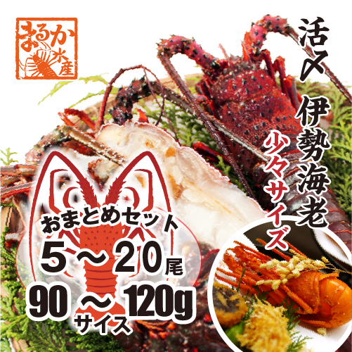 □活〆伊勢海老（冷凍加熱用）少々サイズ 90～120g [冷凍伊勢海老]