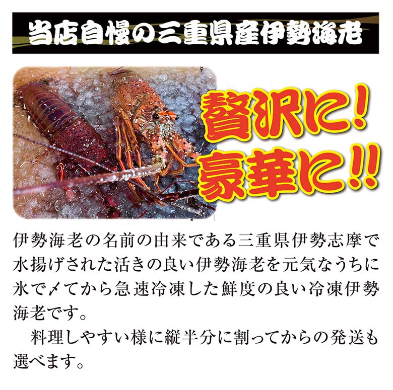 □活〆伊勢海老（冷凍加熱用）少々サイズ 90～120g [冷凍伊勢海老]