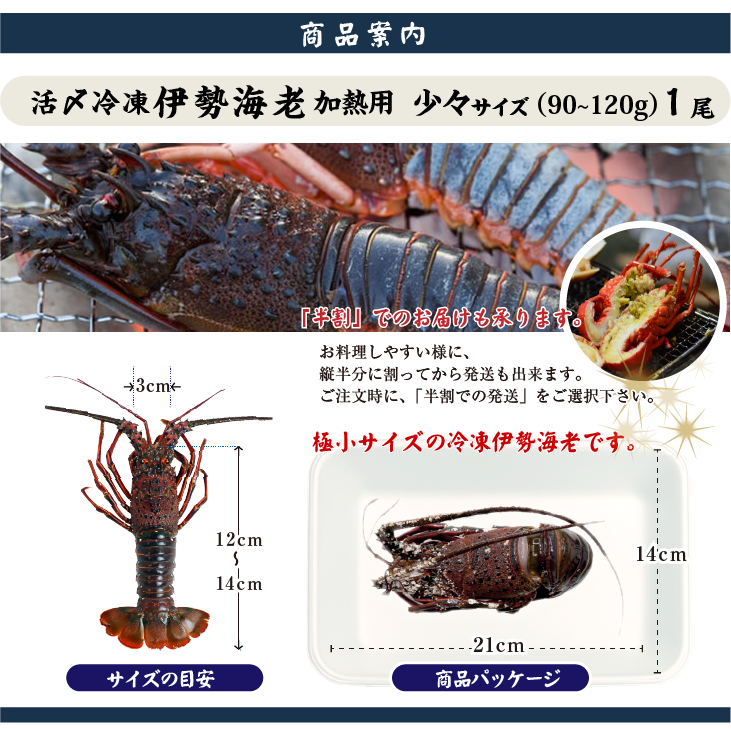 □活〆伊勢海老（冷凍加熱用）少々サイズ 90～120g [冷凍伊勢海老]