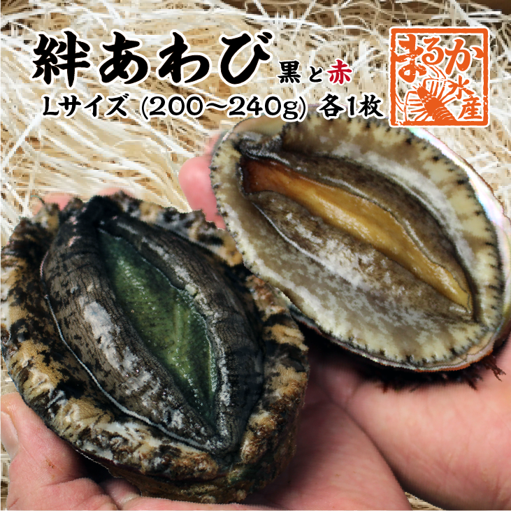 絆あわび（天然黒赤あわびのつがいセット）Lサイズ 200～240g　各1枚  ★[あわび]
