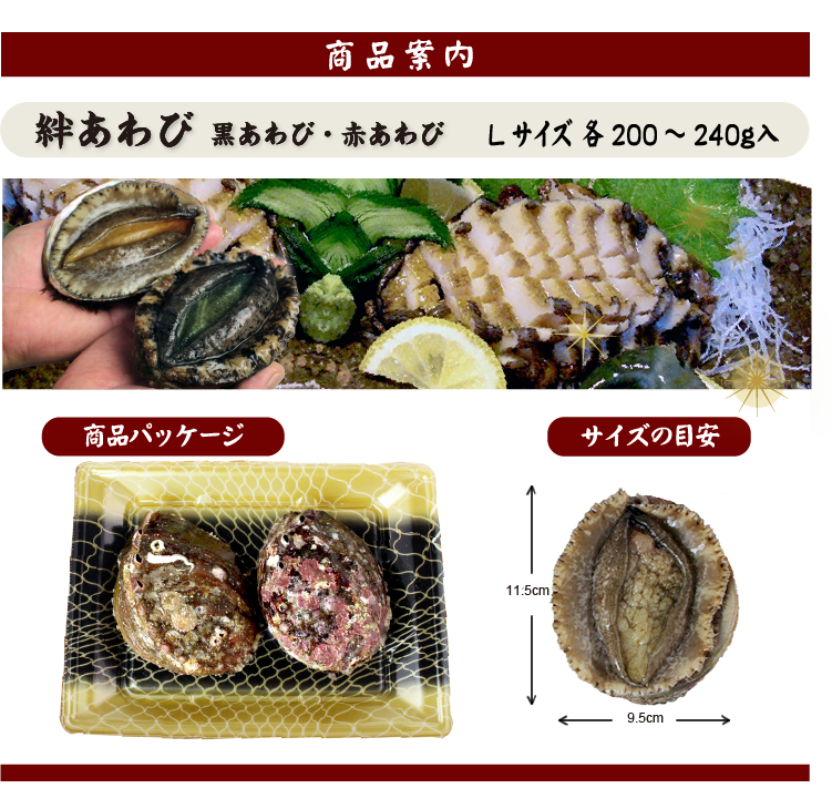 絆あわび（天然黒赤あわびのつがいセット）Lサイズ 200～240g　各1枚  ★[あわび]