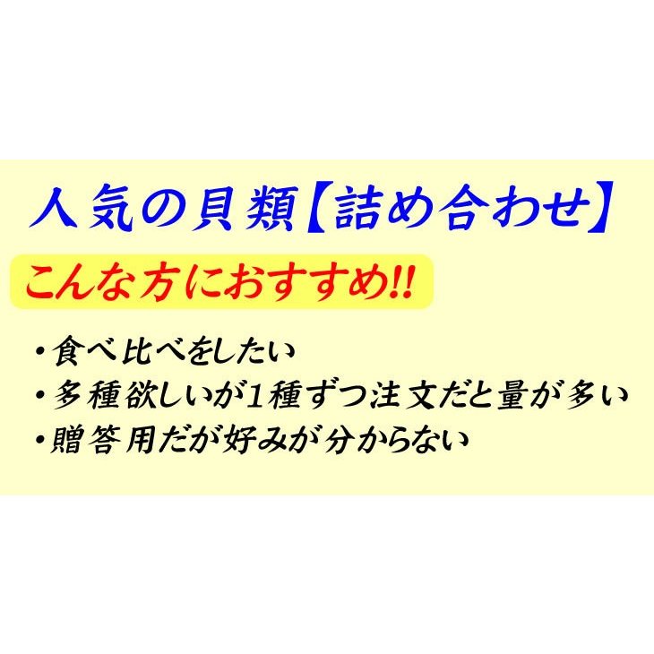 活貝３点セット　ハマグリ80ｇ５個　サザエ100ｇ５個　ホンビノス130ｇ５個　[貝セット]