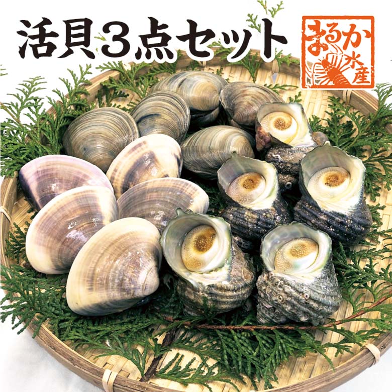 活貝３点セット　はまぐり80g5個　さざえ100g5個　ホンビノス130g5個　[貝セット]