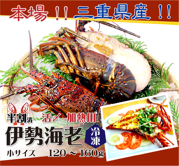 □活〆伊勢海老（冷凍加熱用）小サイズ 120～160g [冷凍伊勢海老]