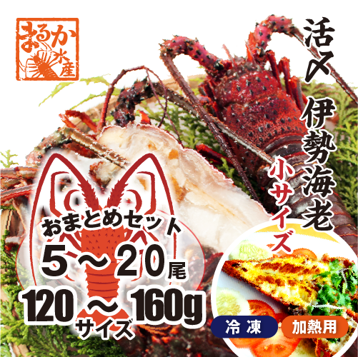 □活〆伊勢海老（冷凍加熱用）小サイズ 120～160g [冷凍伊勢海老]