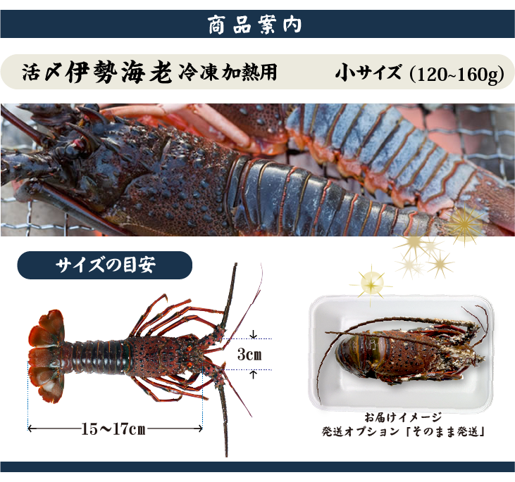 □活〆伊勢海老（冷凍加熱用）小サイズ 120～160g [冷凍伊勢海老]