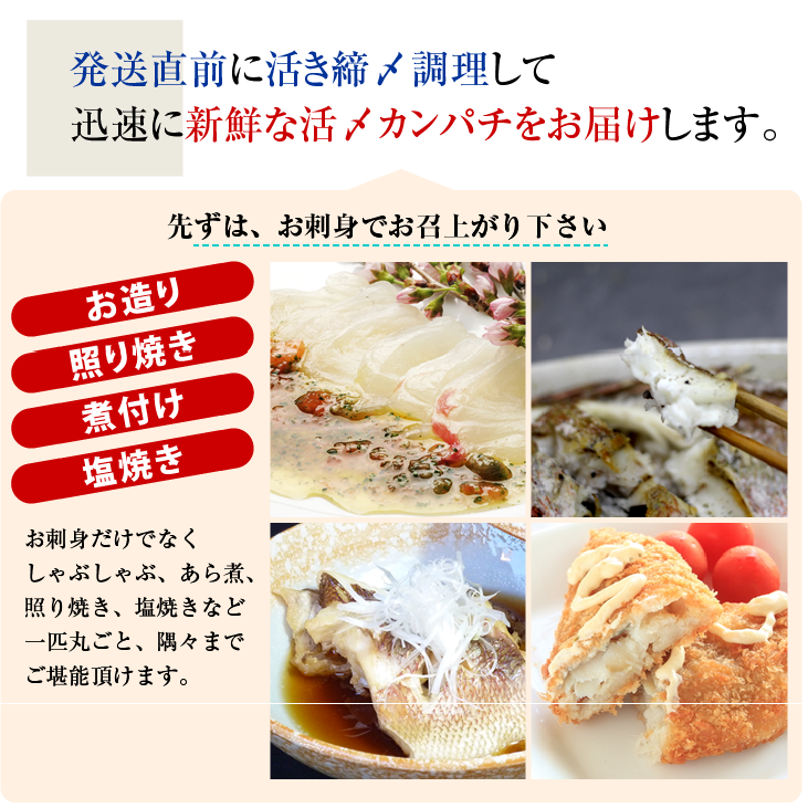 活〆カンパチ １尾 3.5～4.0kgサイズ（養殖）[魚介類]