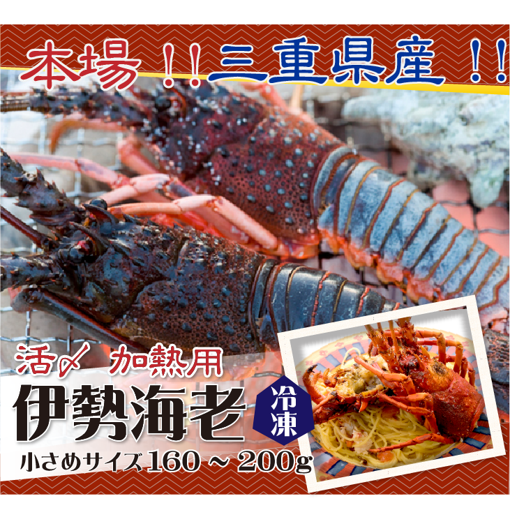 □活〆伊勢海老（冷凍加熱用）小さめサイズ 160～200g [冷凍伊勢海老]