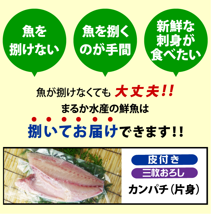 活〆カンパチ 片身 捌いてお届け！ 三枚おろし 皮付き 3.5～4.0kgサイズの半分（養殖）[魚介類]