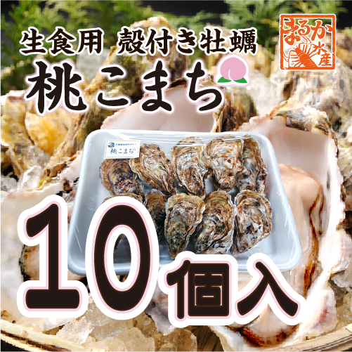 生食用 殻付き牡蠣「桃こまち」軍手・ナイフ付[牡蠣]