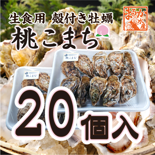 生食用 殻付き牡蠣「桃こまち」軍手・ナイフ付[牡蠣]
