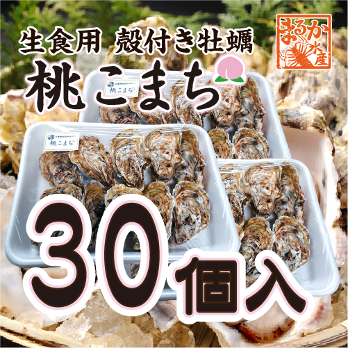生食用 殻付き牡蠣「桃こまち」軍手・ナイフ付[牡蠣]