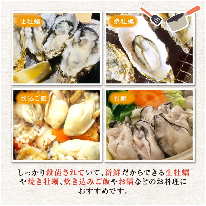 生食用 殻付き牡蠣「桃こまち」軍手・ナイフ付[牡蠣]