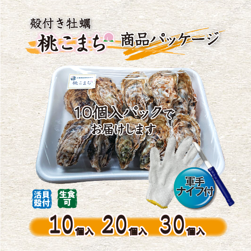 生食用 殻付き牡蠣「桃こまち」軍手・ナイフ付[牡蠣]