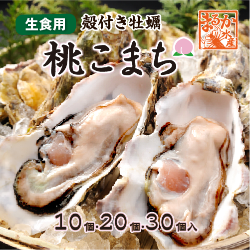 生食用 殻付き牡蠣「桃こまち」軍手・ナイフ付[牡蠣]