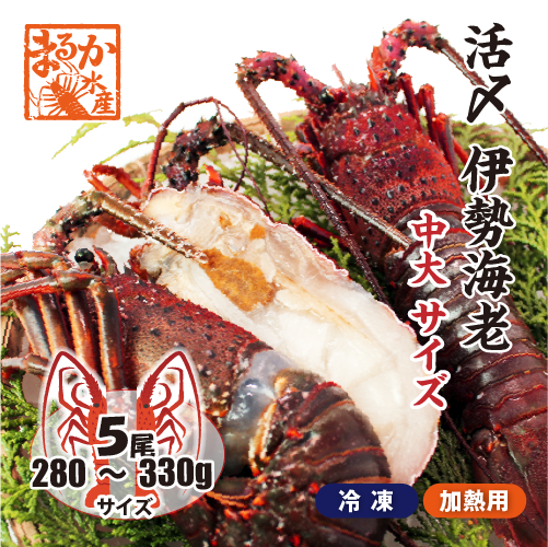 □活〆伊勢海老（冷凍加熱用）中大サイズ 280～330g [冷凍伊勢海老]