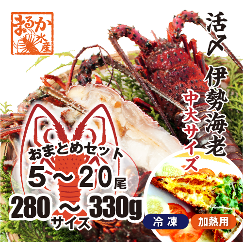 □活〆伊勢海老（冷凍加熱用）中大サイズ 280～330g [冷凍伊勢海老]