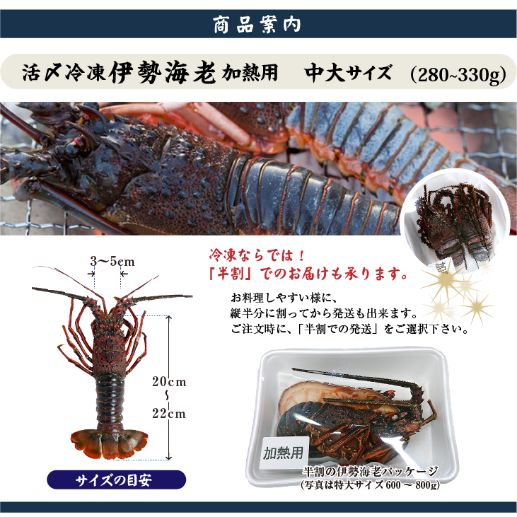 □活〆伊勢海老（冷凍加熱用）中大サイズ 280～330g [冷凍伊勢海老]