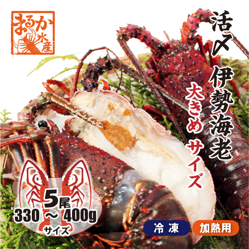 活〆伊勢海老（冷凍加熱用）大きめサイズ 330～400g [冷凍伊勢海老]