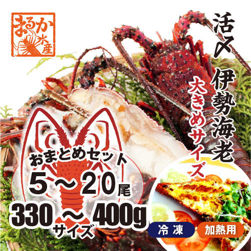 活〆伊勢海老（冷凍加熱用）大きめサイズ 330～400g [冷凍伊勢海老]