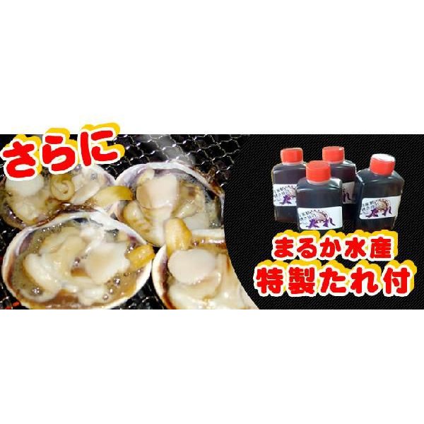 大アサリ 半割り済 たれつき 5～7個（10～14切）[大あさり] 