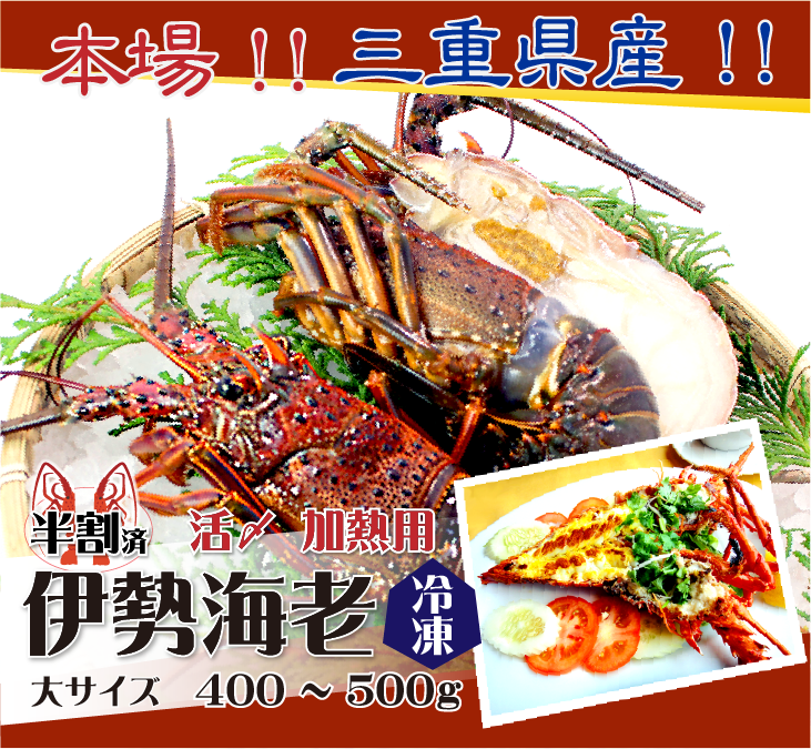 活〆伊勢海老（冷凍加熱用）大サイズ 400～500g ★[冷凍伊勢海老]