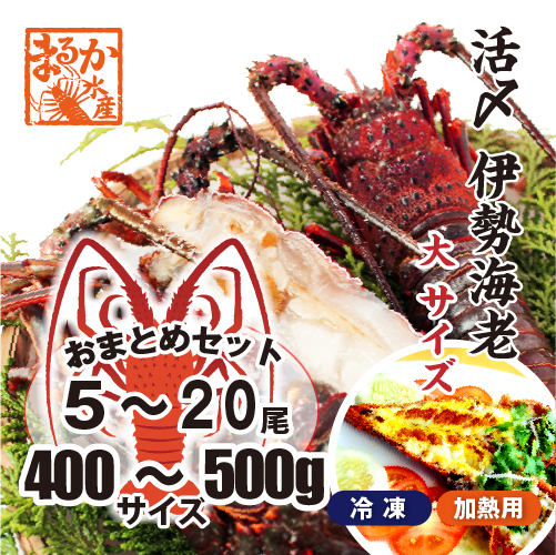 活〆伊勢海老（冷凍加熱用）大サイズ 400～500g ★[冷凍伊勢海老]