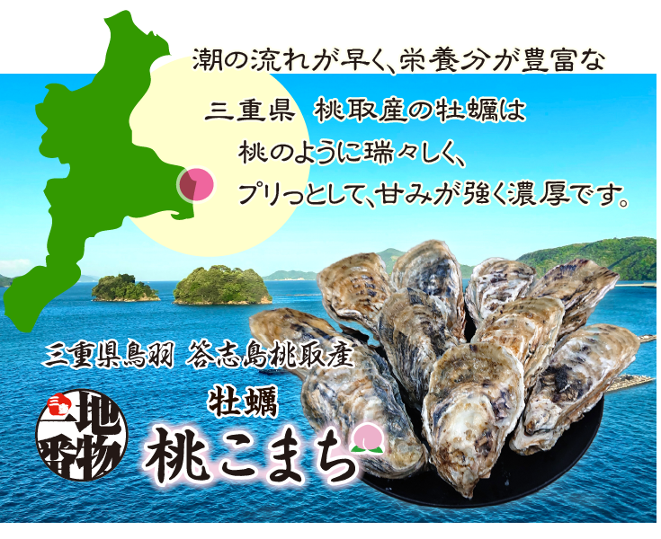 生食用 牡蠣（むき身）桃こまち 300g [牡蠣]